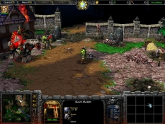 Warcraft III: Reign of Chaos obraz #3113