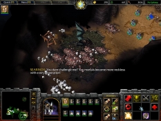 Warcraft III: Reign of Chaos obraz #3112
