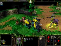 Warcraft III: Reign of Chaos obraz #3111