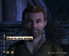 Elder Scrolls 4 - Oblivion #4923