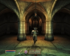 Elder Scrolls 4 - Oblivion obraz #4917