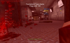 Unreal Tournament #6314