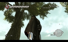 Assassin's Creed II #7864