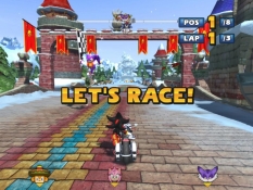 Sonic & SEGA All Stars Racing obraz #8713