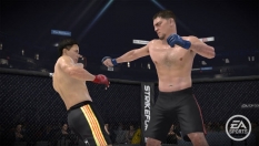 EA Sports MMA obraz #9292