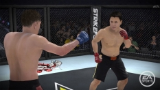 EA Sports MMA obraz #9290