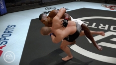 EA Sports MMA #9307