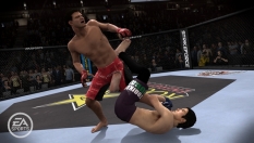 EA Sports MMA #9306