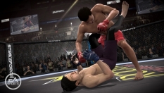 EA Sports MMA #9301