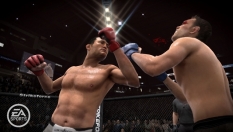 EA Sports MMA #9305