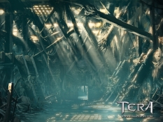 TERA: The Exiled Realm of Arborea #11318