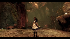 Alice: Madness Returns #11348