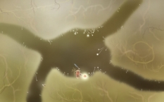 Botanicula obraz #14318