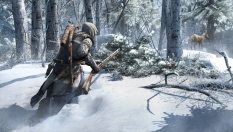 Assassin's Creed III obraz #14641