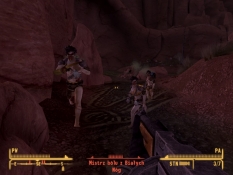 Fallout: New Vegas - Ultimate Edition #15049
