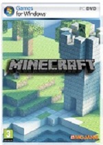 Minecraft box