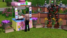 The Sims 3: Cztery pory roku #15666