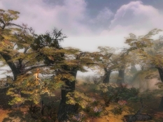 Dawn of Magic obraz #978